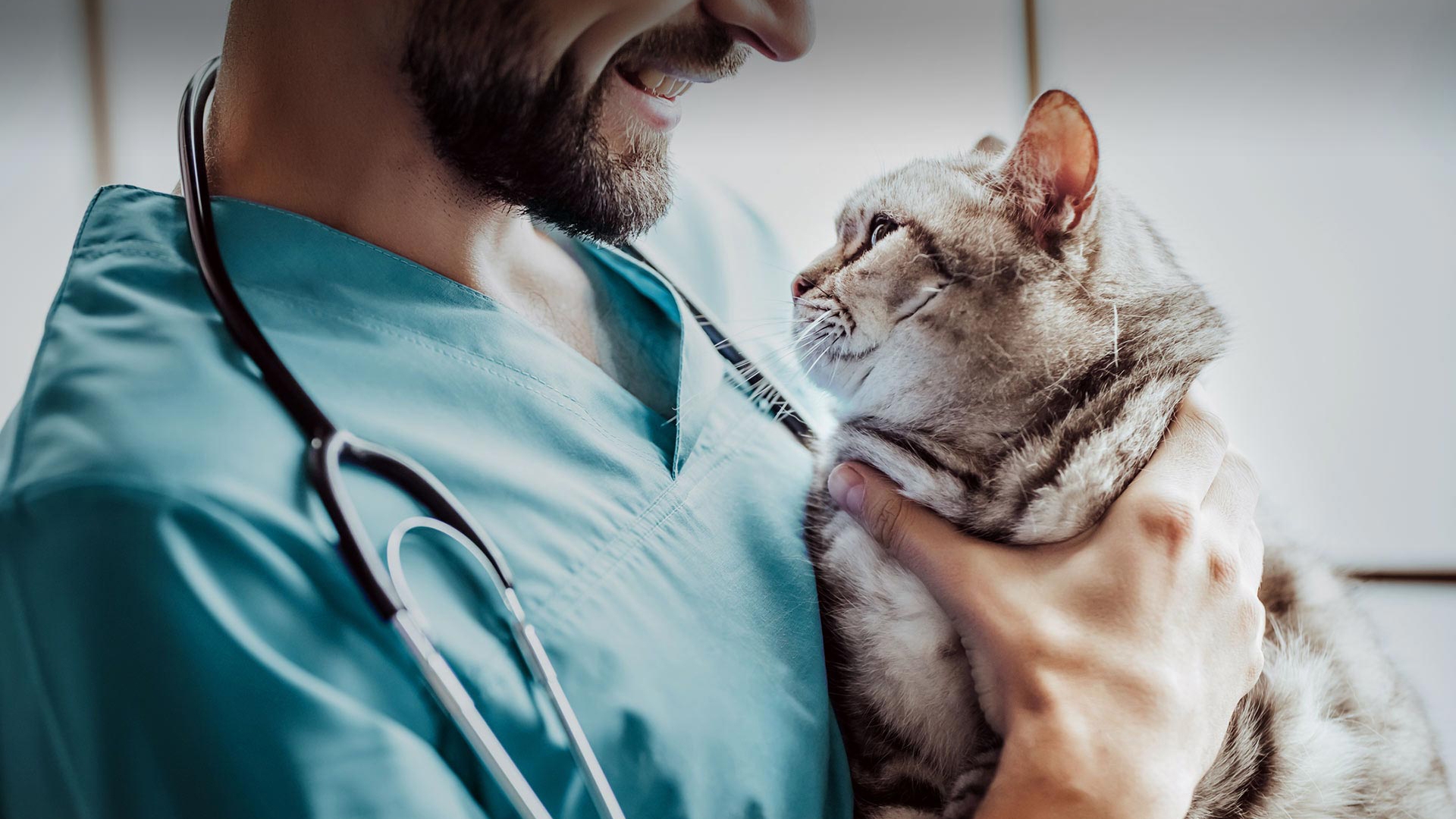 Başakşehir Veteriner